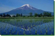 Double Fuji