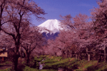 ���ƕx�m�R